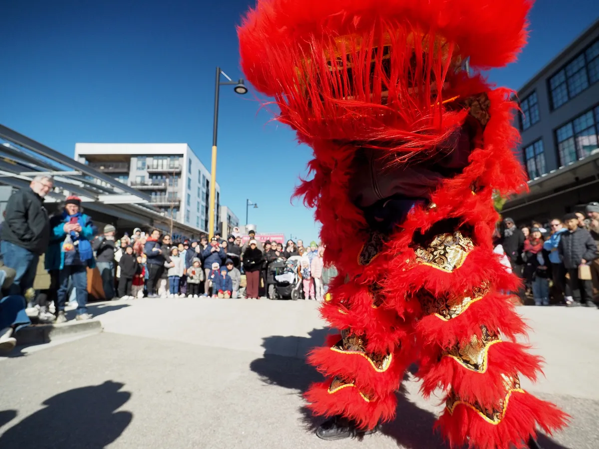 Lunar New Year photograph 16